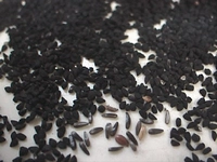 Çörek Otu Zayıflatırmı Zayıflamaya Etkileri Çörek Otu Zayıflatırmı Zayıflamaya Etkileri